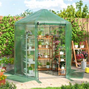 Our Take on the 7x7x7.3 FT Greenhouse: Spacious, Sturdy, Simple